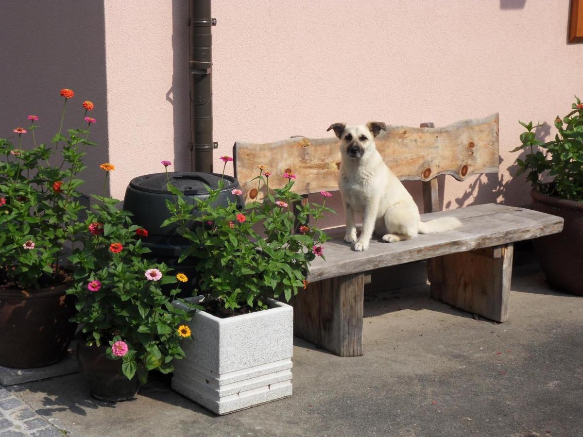 Fewo In Der Weinleiten Millstatt Exterior photo