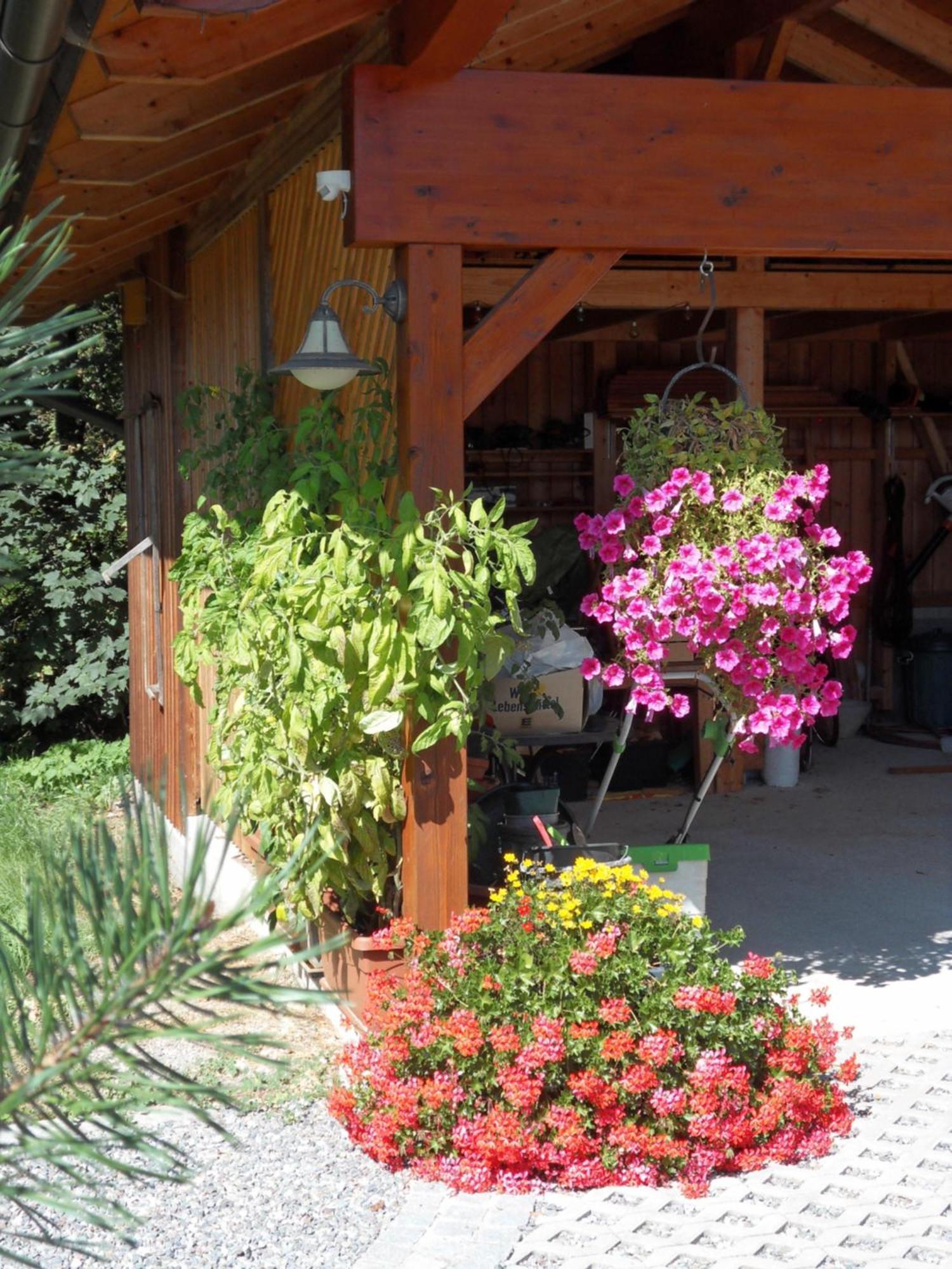 Fewo In Der Weinleiten Millstatt Exterior photo